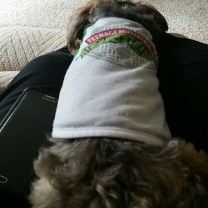 Meet your Posher, Todd